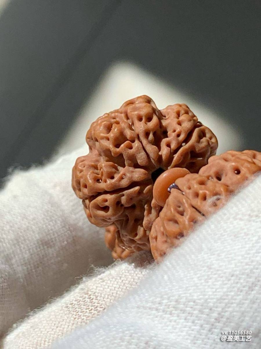 大金刚菩提精品欣赏 蜂窝双龙纹梅花桩细节实拍