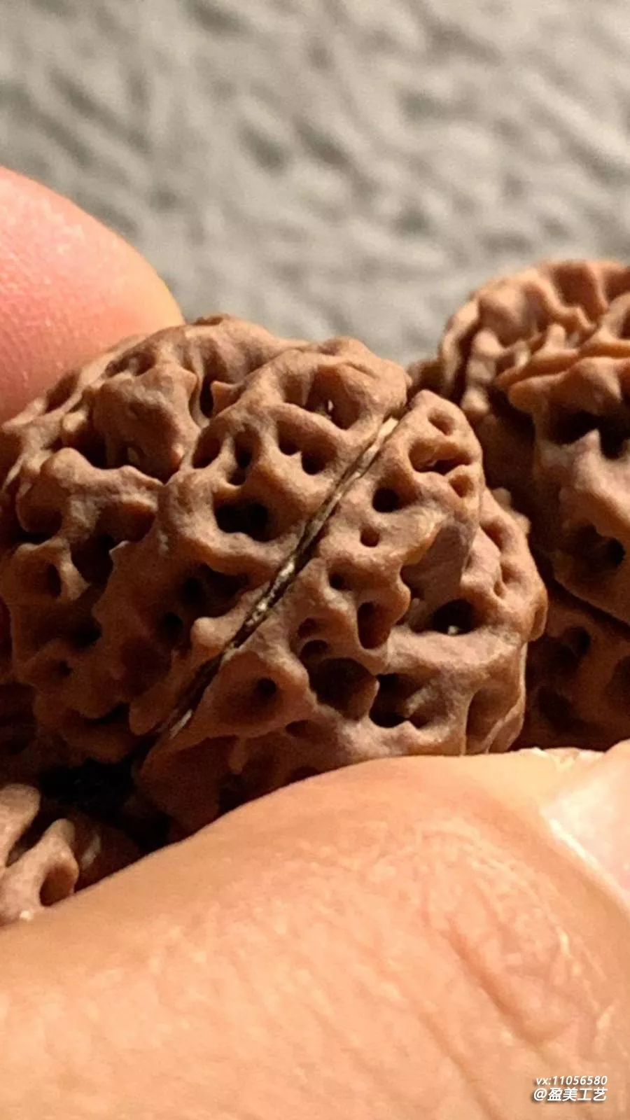 金刚挑籽过程
