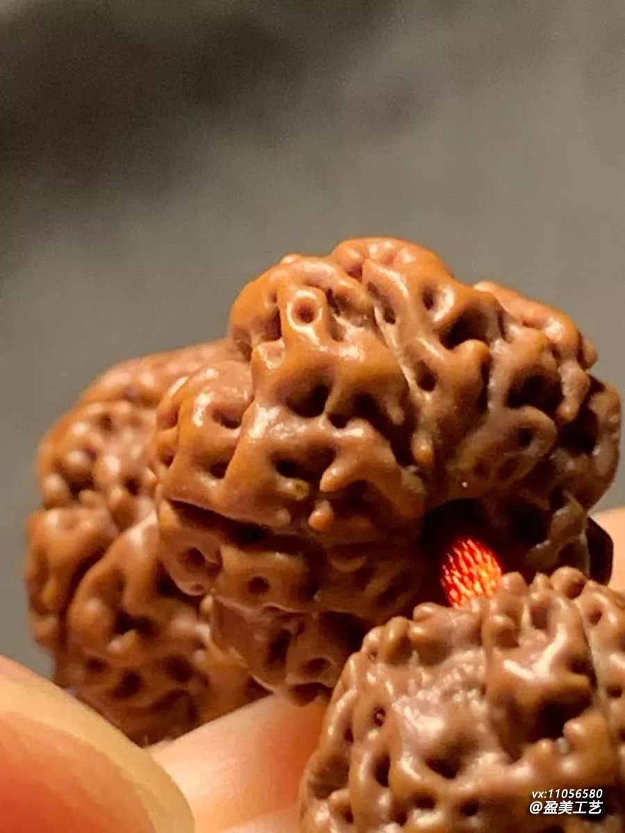 今年收的最后一批籽 挑出这串满肉蜂窝收尾